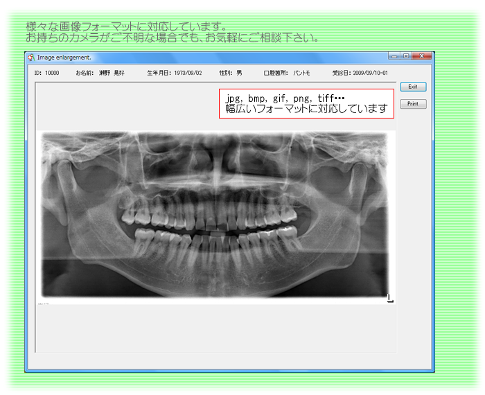 ファイルフォーマット